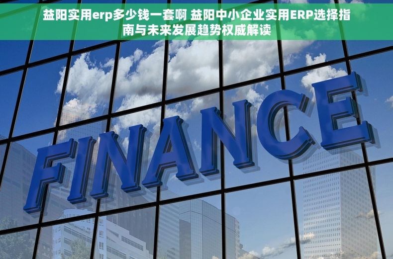 益阳实用erp多少钱一套啊 益阳中小企业实用ERP选择指南与未来发展趋势权威解读
