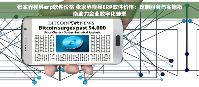 张家界模具erp软件价格 张家界模具ERP软件价格：定制服务与实施指南助力企业数字化转型