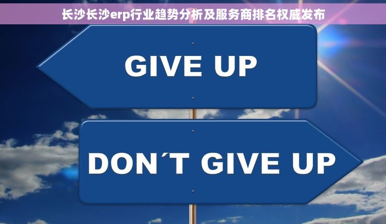长沙长沙erp行业趋势分析及服务商排名权威发布
