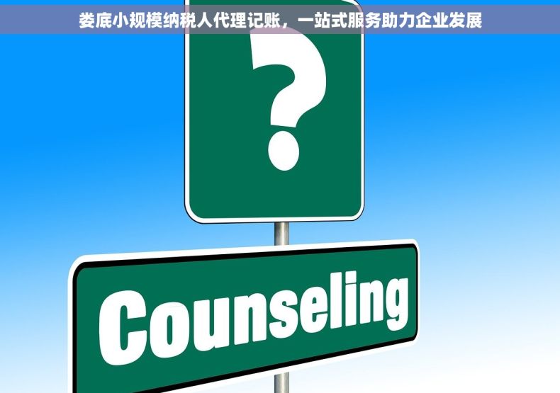 娄底小规模纳税人代理记账，一站式服务助力企业发展