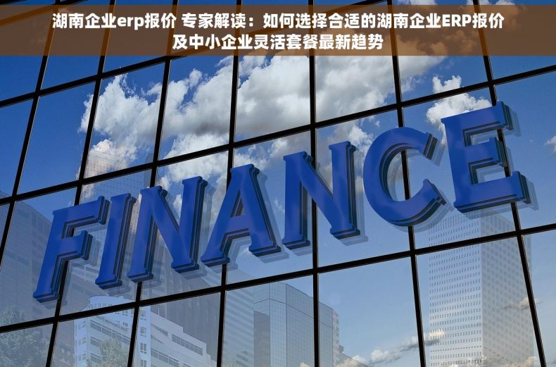 湖南企业erp报价 专家解读：如何选择合适的湖南企业ERP报价及中小企业灵活套餐最新趋势