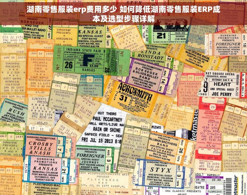 湖南零售服装erp费用多少 如何降低湖南零售服装ERP成本及选型步骤详解