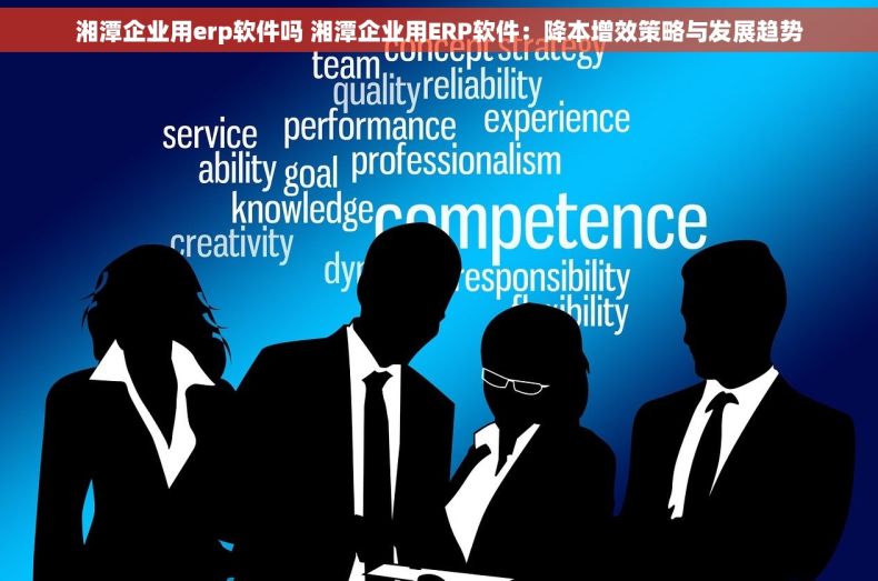 湘潭企业用erp软件吗 湘潭企业用ERP软件：降本增效策略与发展趋势