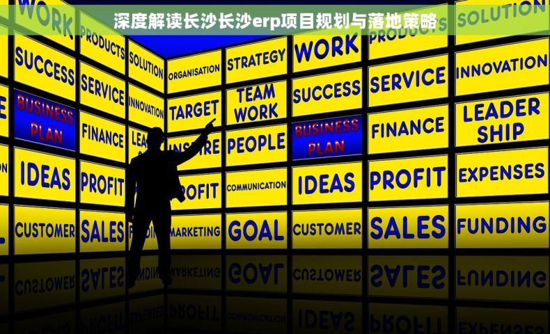 深度解读长沙长沙erp项目规划与落地策略