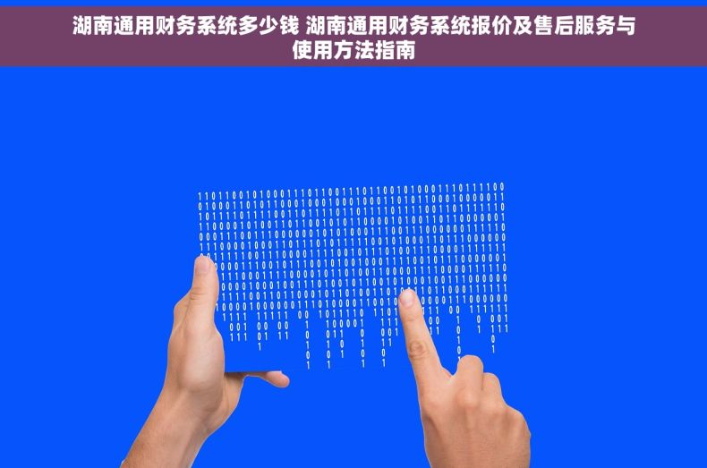 湖南通用财务系统多少钱 湖南通用财务系统报价及售后服务与使用方法指南
