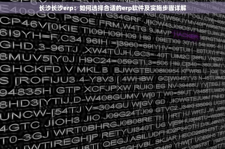 长沙长沙erp：如何选择合适的erp软件及实施步骤详解