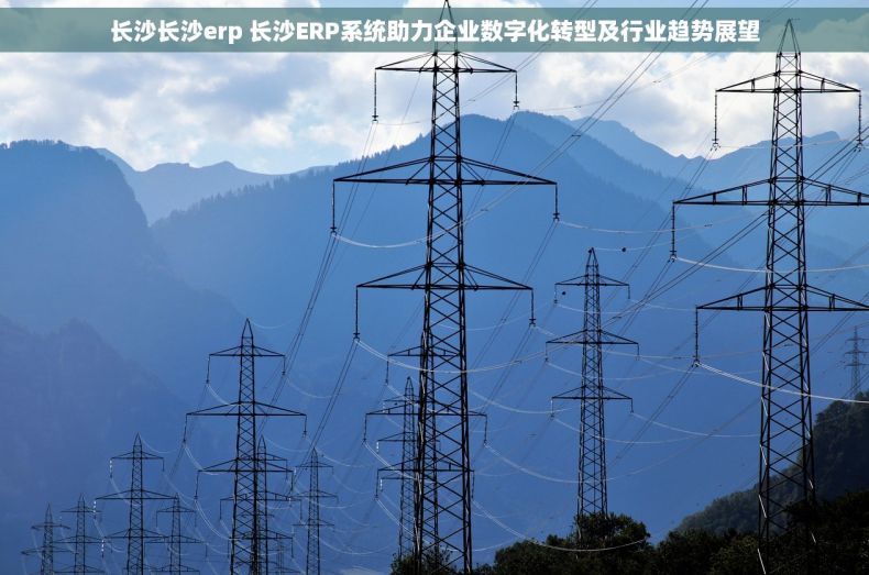 长沙长沙erp 长沙ERP系统助力企业数字化转型及行业趋势展望