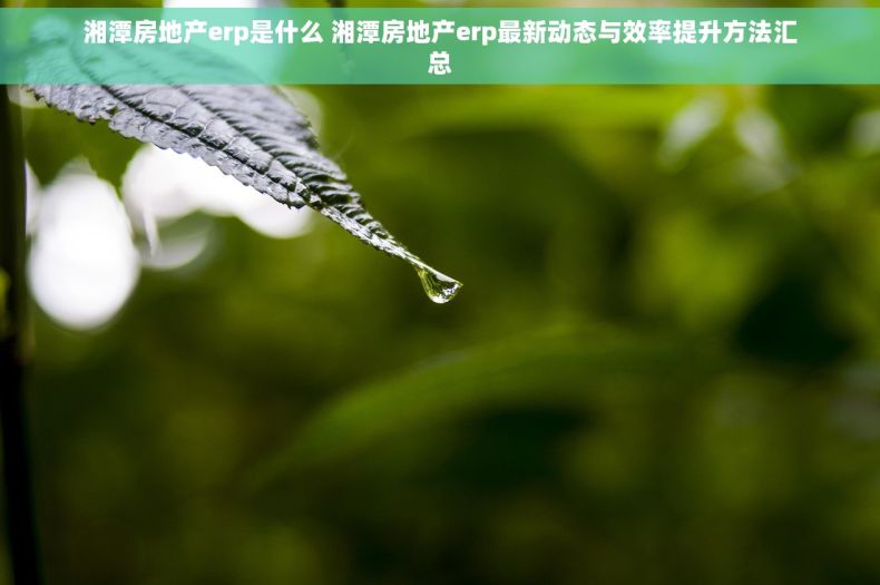 湘潭房地产erp是什么 湘潭房地产erp最新动态与效率提升方法汇总