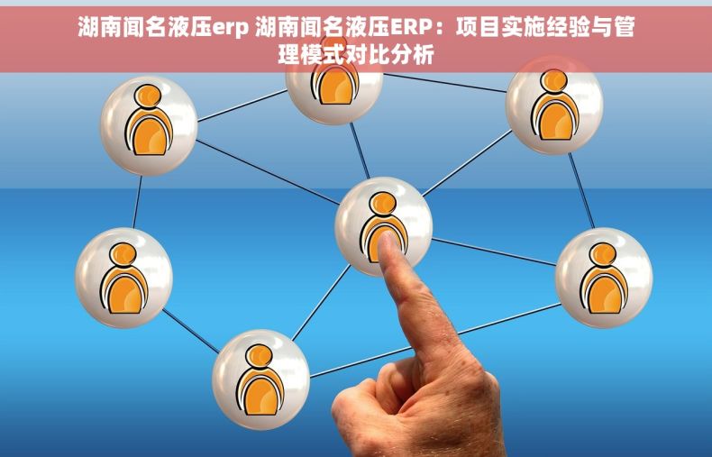 湖南闻名液压erp 湖南闻名液压ERP：项目实施经验与管理模式对比分析