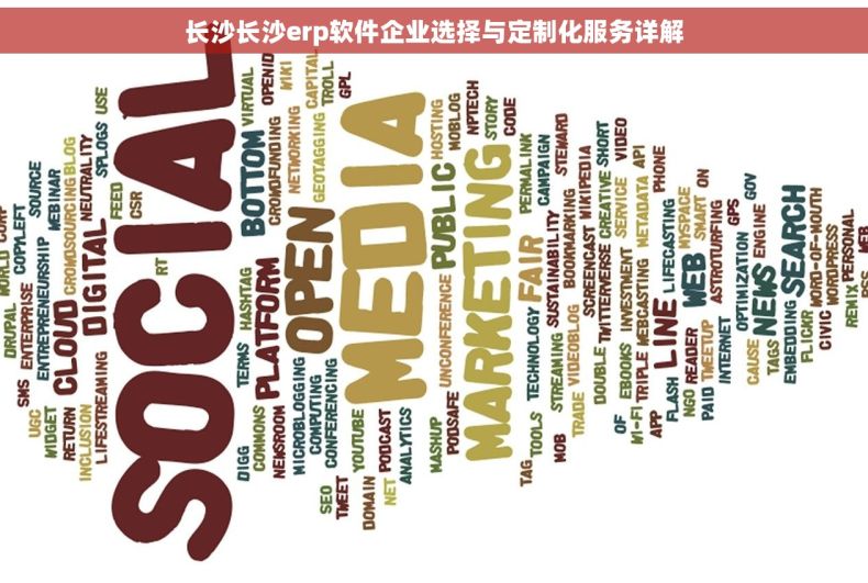 长沙长沙erp软件企业选择与定制化服务详解