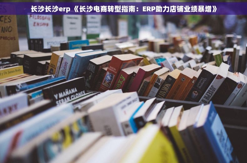 长沙长沙erp 《长沙电商转型指南：ERP助力店铺业绩暴增》