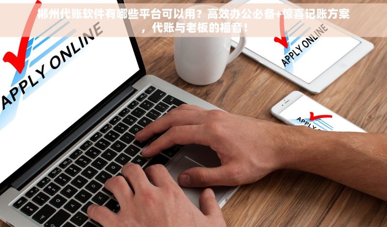 郴州代账软件有哪些平台可以用？高效办公必备+惊喜记账方案，代账与老板的福音！