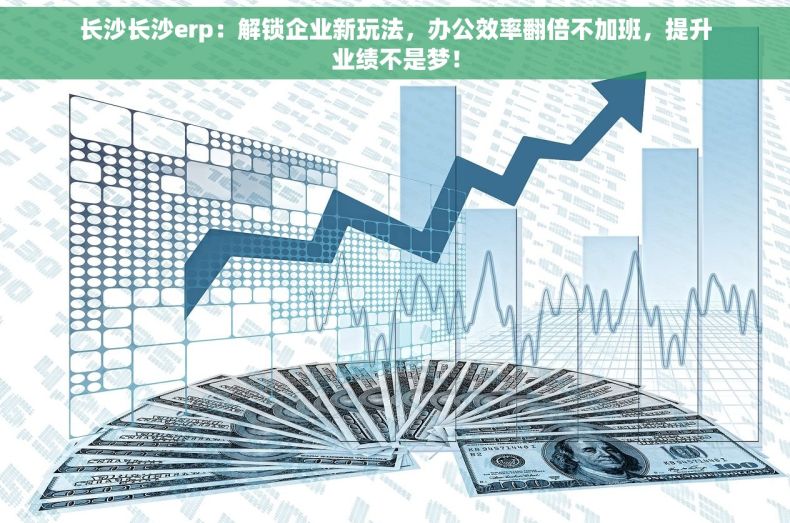 长沙长沙erp：解锁企业新玩法，办公效率翻倍不加班，提升业绩不是梦！