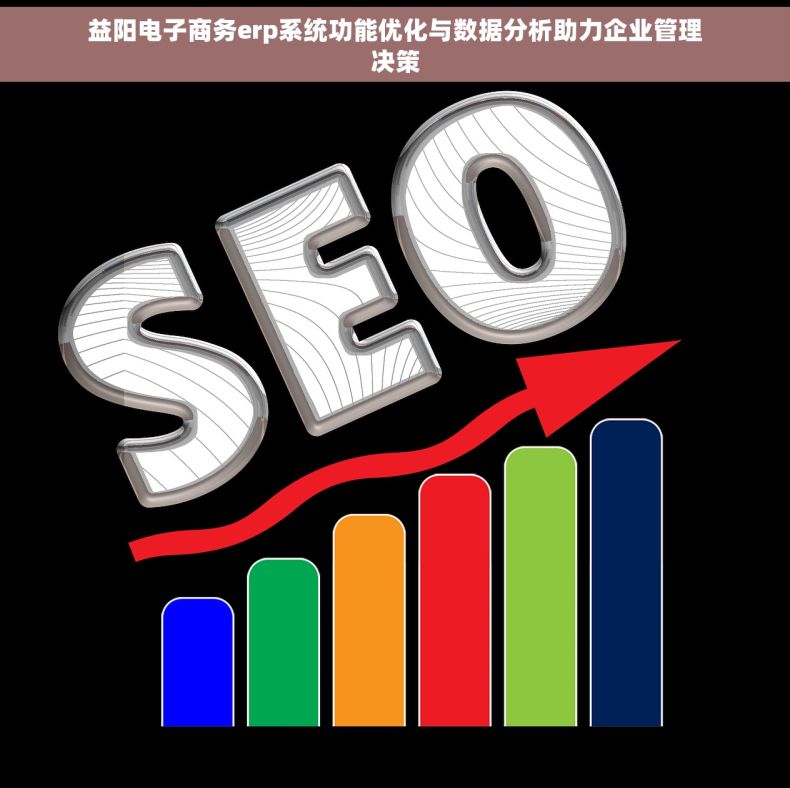 益阳电子商务erp系统功能优化与数据分析助力企业管理决策