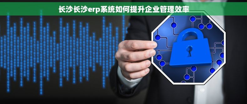 长沙长沙erp系统如何提升企业管理效率