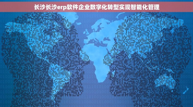长沙长沙erp软件企业数字化转型实现智能化管理