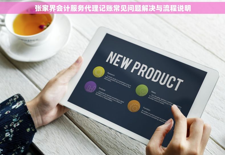 张家界会计服务代理记账常见问题解决与流程说明