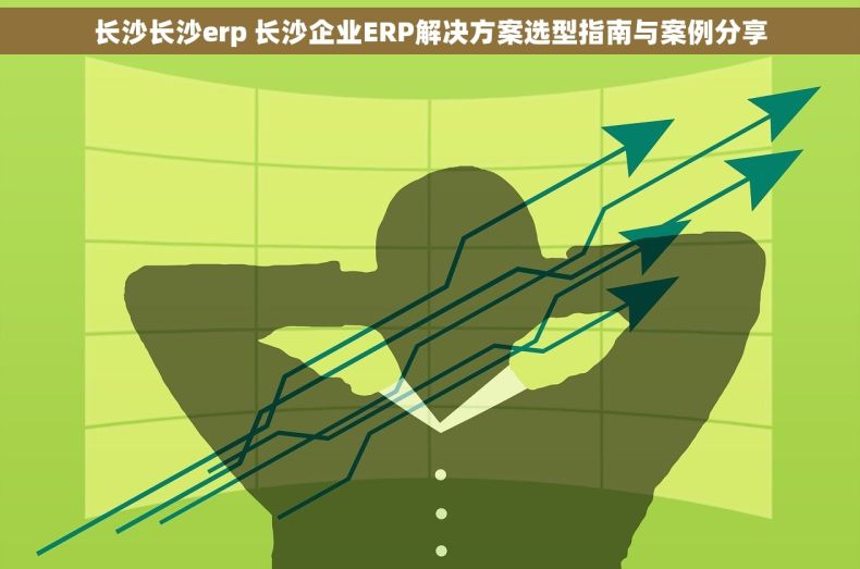 长沙长沙erp 长沙企业ERP解决方案选型指南与案例分享
