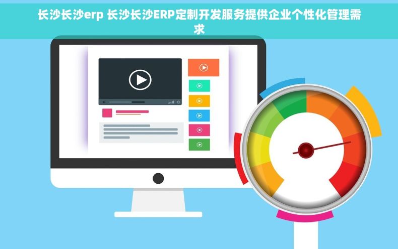 长沙长沙erp 长沙长沙ERP定制开发服务提供企业个性化管理需求