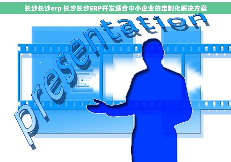 长沙长沙erp 长沙长沙ERP开发适合中小企业的定制化解决方案