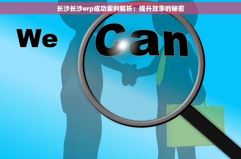 长沙长沙erp成功案例解析：提升效率的秘密
