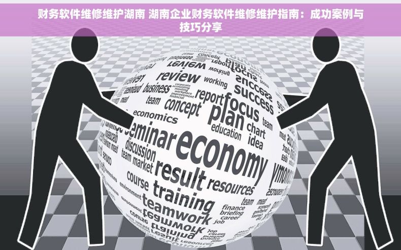 财务软件维修维护湖南 湖南企业财务软件维修维护指南：成功案例与技巧分享