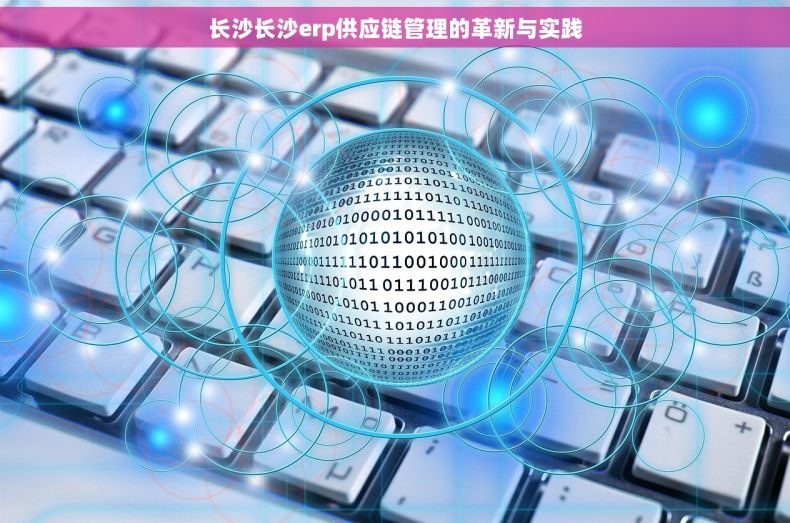 长沙长沙erp供应链管理的革新与实践