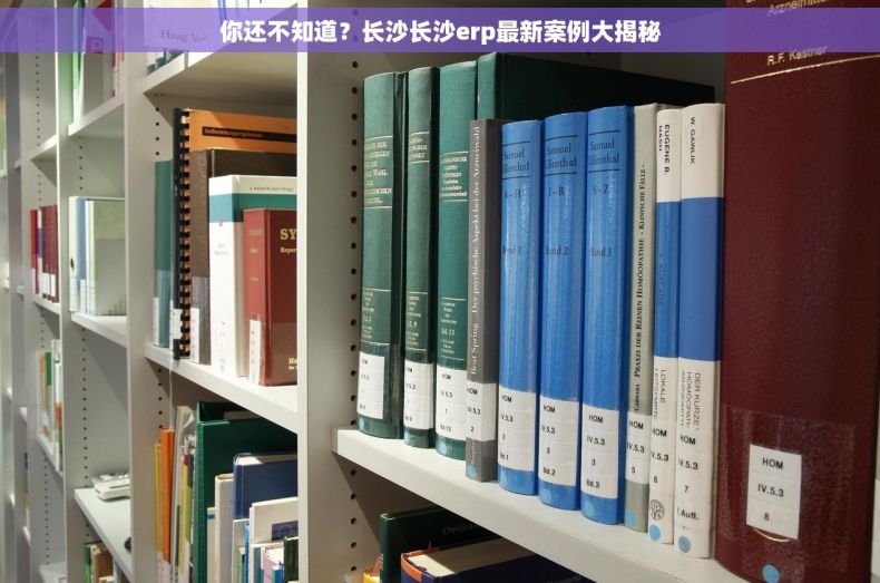 你还不知道？长沙长沙erp最新案例大揭秘