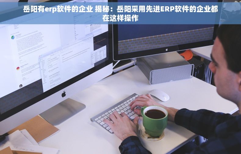 岳阳有erp软件的企业 揭秘：岳阳采用先进ERP软件的企业都在这样操作