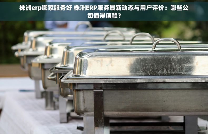 株洲erp哪家服务好 株洲ERP服务最新动态与用户评价：哪些公司值得信赖？
