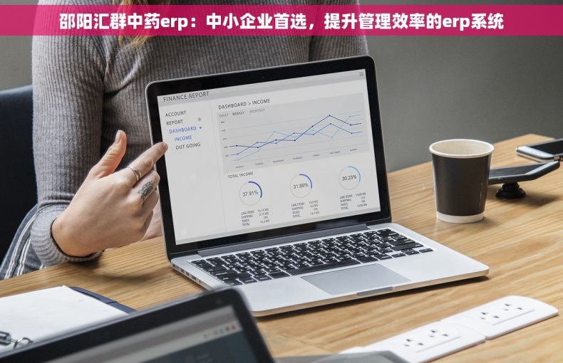 邵阳汇群中药erp：中小企业首选，提升管理效率的erp系统
