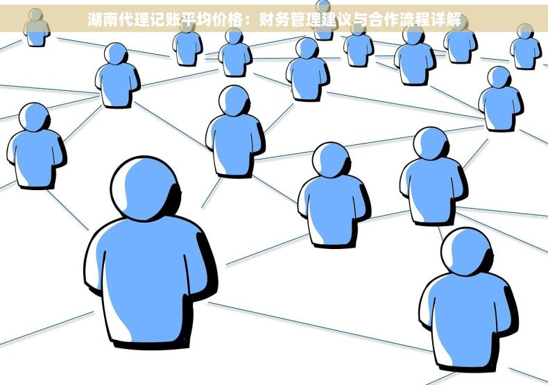 湖南代理记账平均价格：财务管理建议与合作流程详解