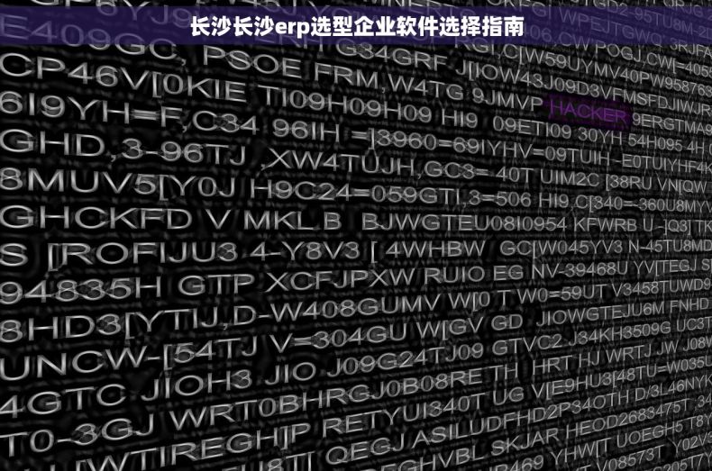长沙长沙erp选型企业软件选择指南