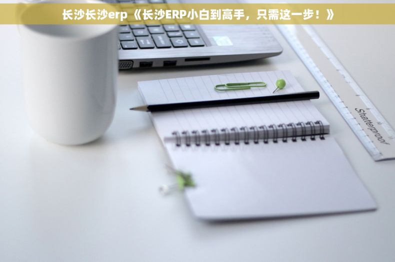 长沙长沙erp 《长沙ERP小白到高手，只需这一步！》