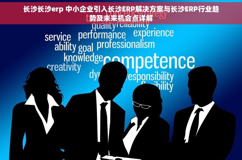 长沙长沙erp 中小企业引入长沙ERP解决方案与长沙ERP行业趋势及未来机会点详解