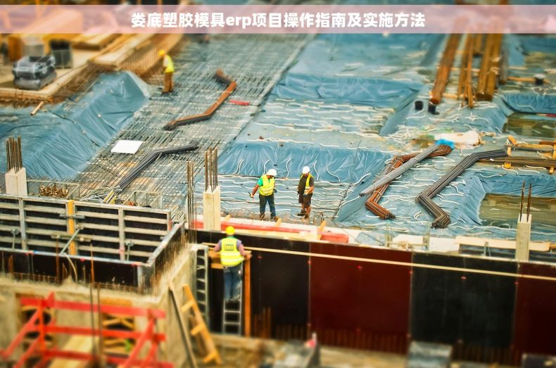 娄底塑胶模具erp项目操作指南及实施方法