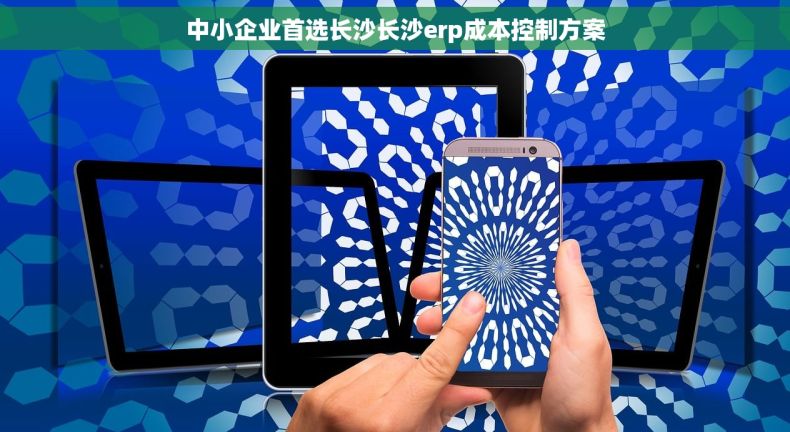 中小企业首选长沙长沙erp成本控制方案