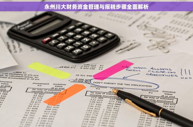 永州川大财务资金管理与报税步骤全面解析