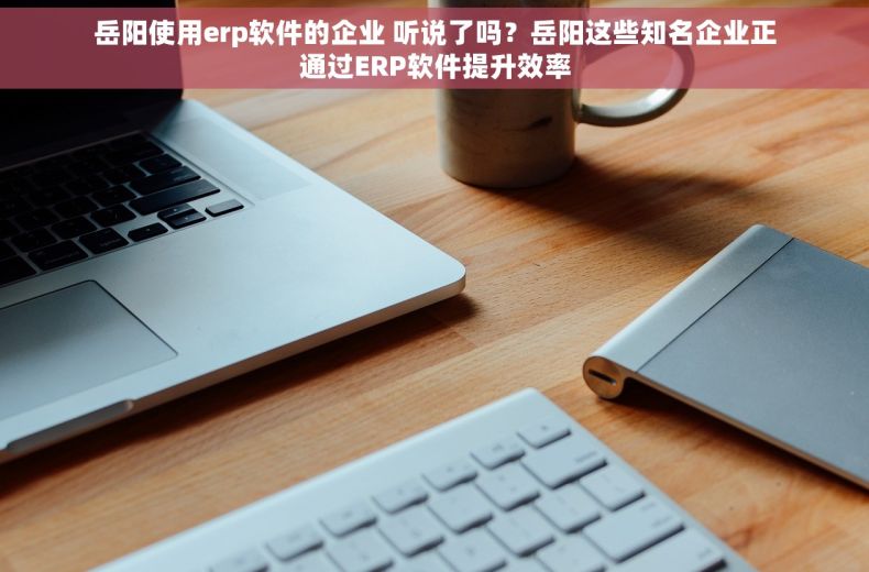 岳阳使用erp软件的企业 听说了吗？岳阳这些知名企业正通过ERP软件提升效率