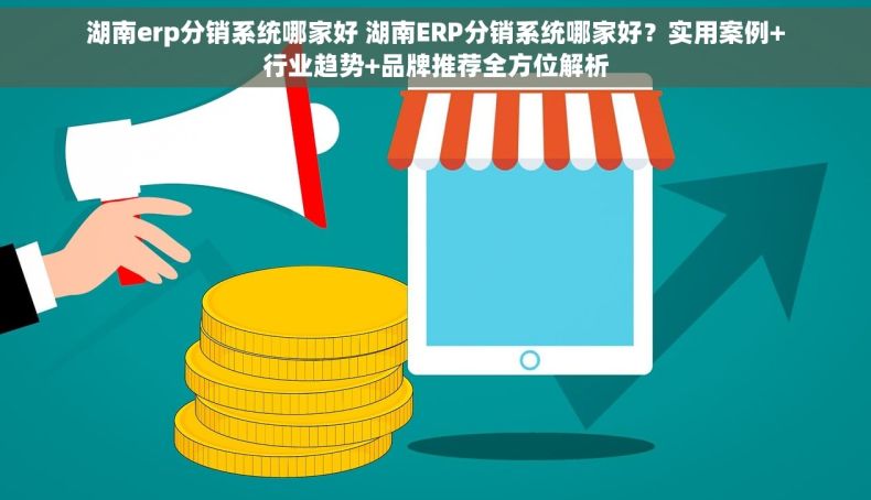 湖南erp分销系统哪家好 湖南ERP分销系统哪家好？实用案例+行业趋势+品牌推荐全方位解析