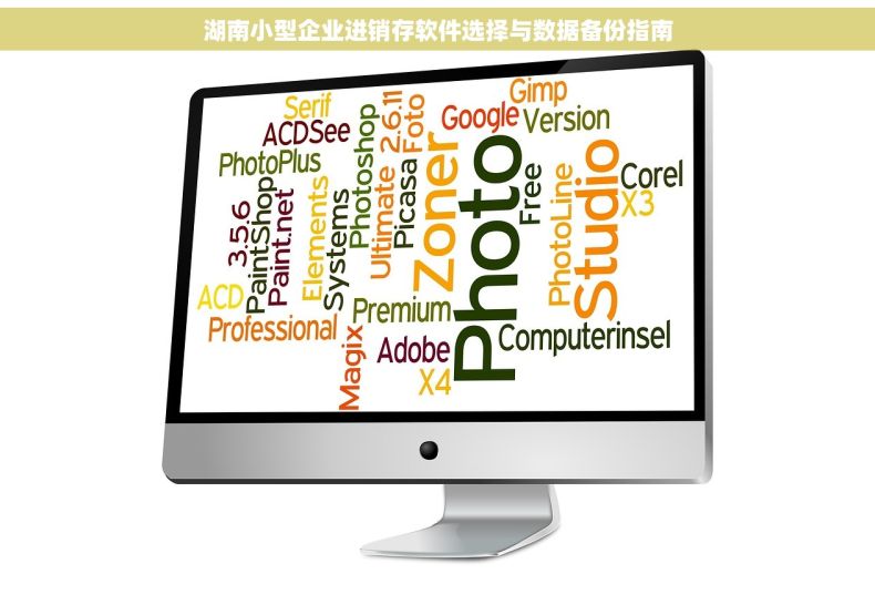 湖南小型企业进销存软件选择与数据备份指南
