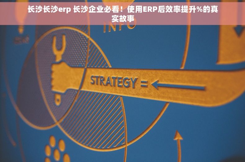 长沙长沙erp 长沙企业必看！使用ERP后效率提升%的真实故事