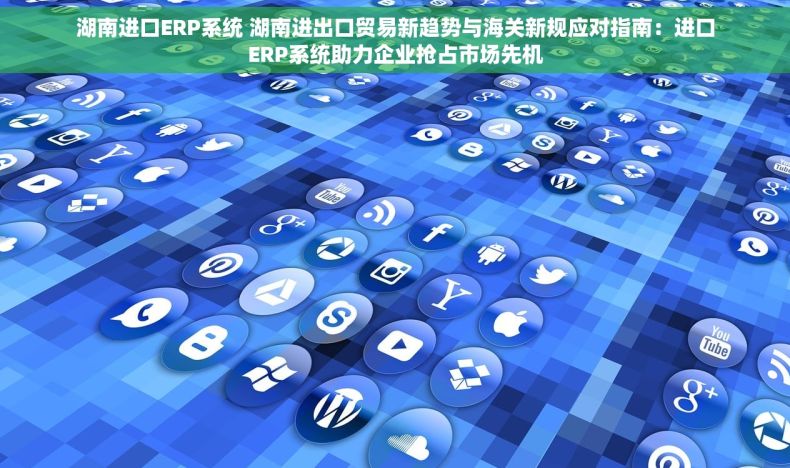 湖南进口ERP系统 湖南进出口贸易新趋势与海关新规应对指南：进口ERP系统助力企业抢占市场先机