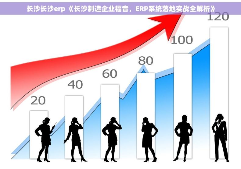 长沙长沙erp 《长沙制造企业福音，ERP系统落地实战全解析》