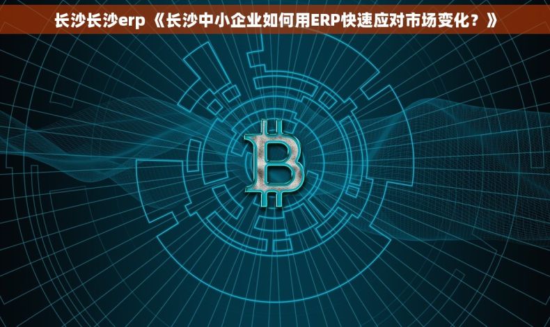长沙长沙erp 《长沙中小企业如何用ERP快速应对市场变化？》