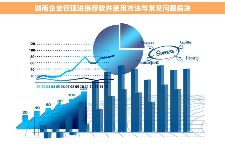 湖南企业管理进销存软件使用方法与常见问题解决