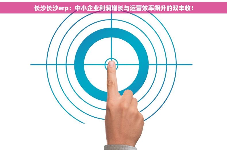 长沙长沙erp：中小企业利润增长与运营效率飙升的双丰收！