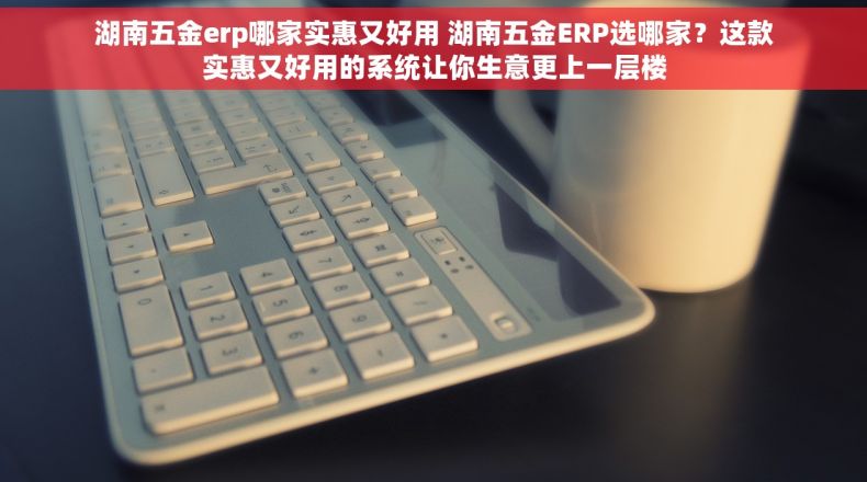 湖南五金erp哪家实惠又好用 湖南五金ERP选哪家？这款实惠又好用的系统让你生意更上一层楼