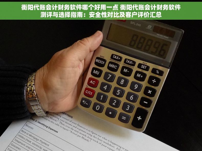 衡阳代账会计财务软件哪个好用一点 衡阳代账会计财务软件测评与选择指南：安全性对比及客户评价汇总