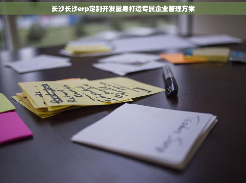 长沙长沙erp定制开发量身打造专属企业管理方案